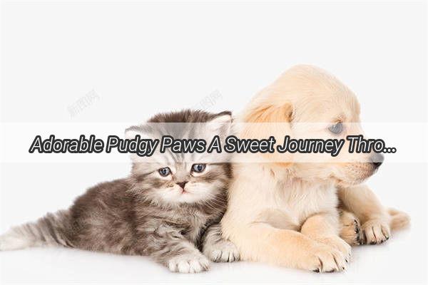 Adorable Pudgy Paws A Sweet Journey Through the Cutest AnimeDog Pudding Photos Collection